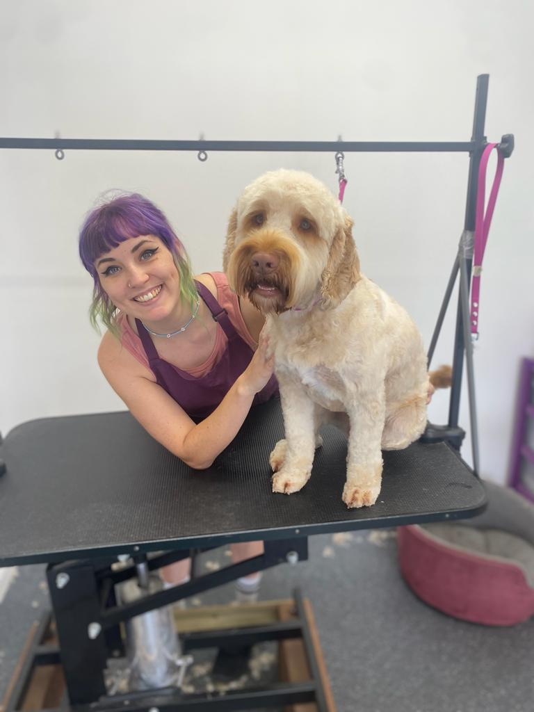 Dog Groomers in Bristol Gallery Sweets Dog Grooming